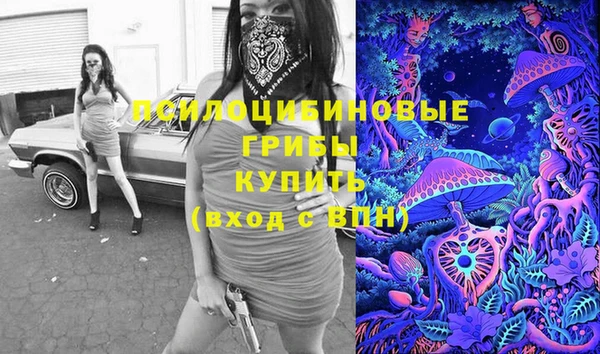 молекула духа Арсеньев